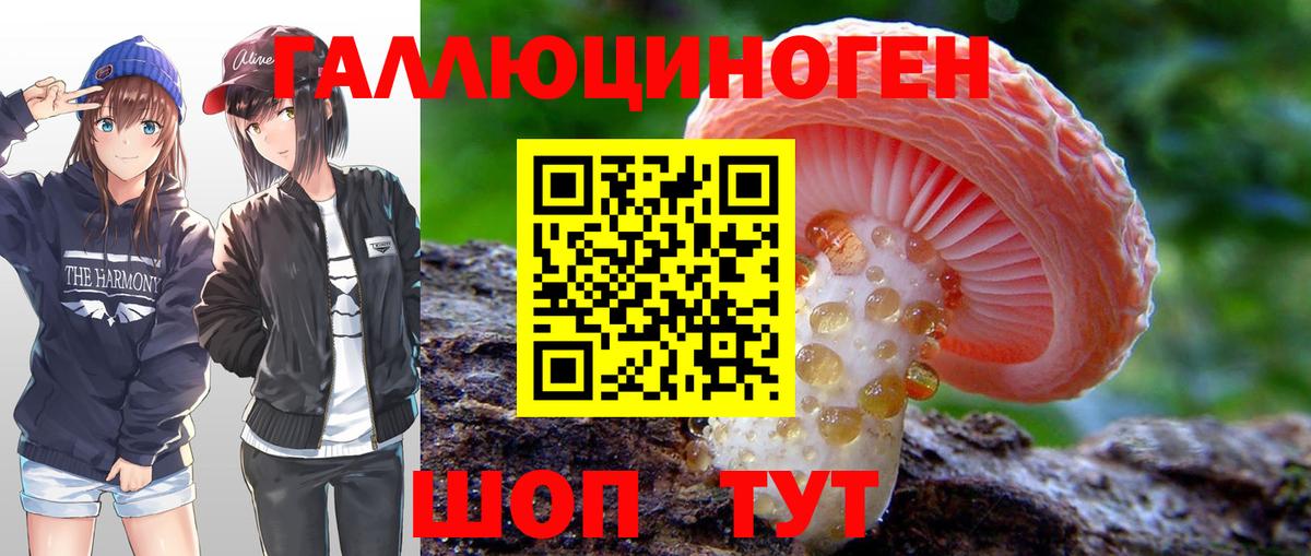 где купить наркоту  Галлюциногенные грибы Psilocybine cubensis  Вход с VPN  Псилоцибиновые грибы мухоморы  Канаш 