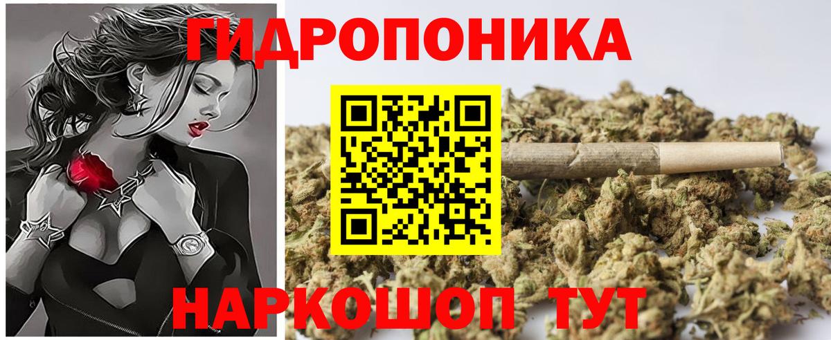 Каннабис LSD WEED  Бошки Шишки White Widow  Вход с VPN  Канаш  Канабис SATIVA & INDICA 